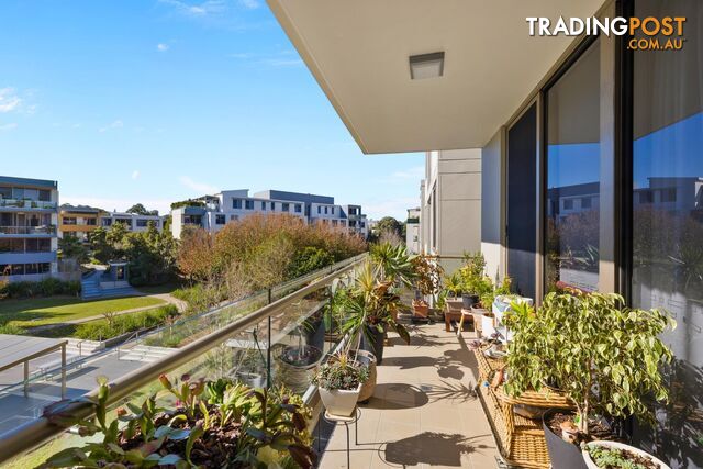 255/79-91 Macpherson Street WARRIEWOOD NSW 2102