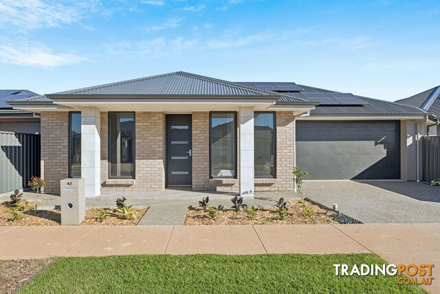 43 Glenthorne Crescent ANDREWS FARM SA 5114
