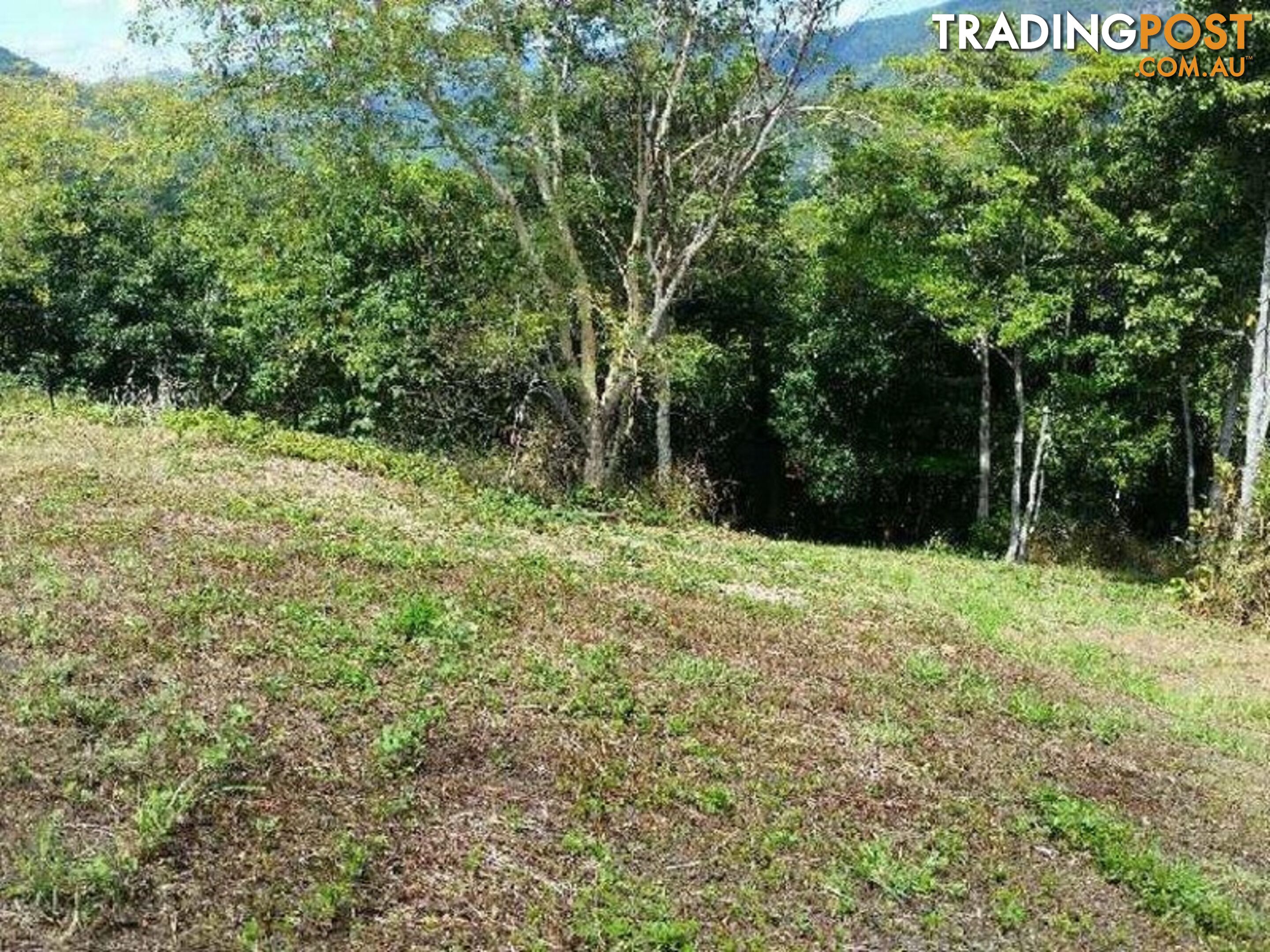 Lot 151 Brinsmead Road (Via Barclay) BRINSMEAD QLD 4870