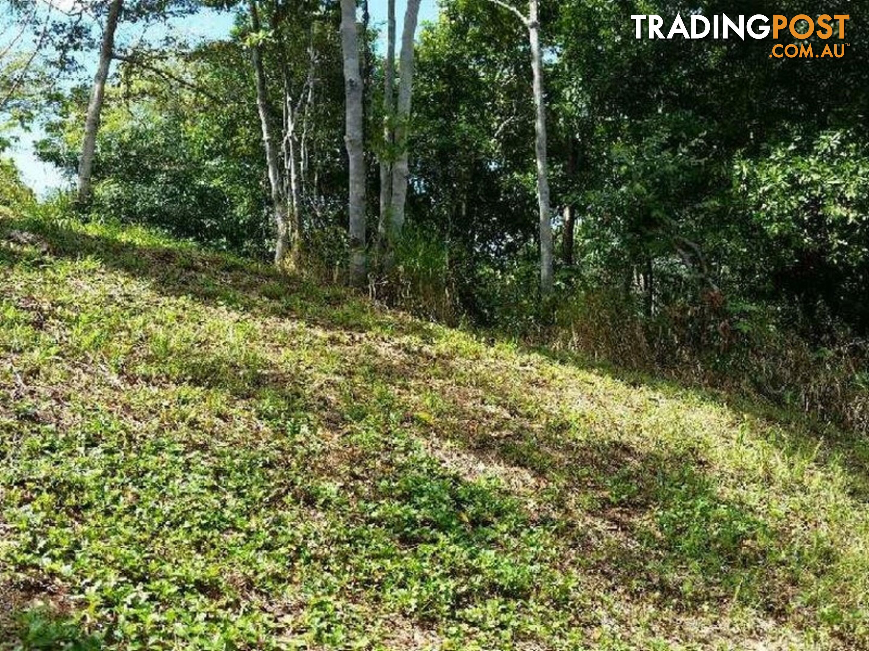 Lot 151 Brinsmead Road (Via Barclay) BRINSMEAD QLD 4870