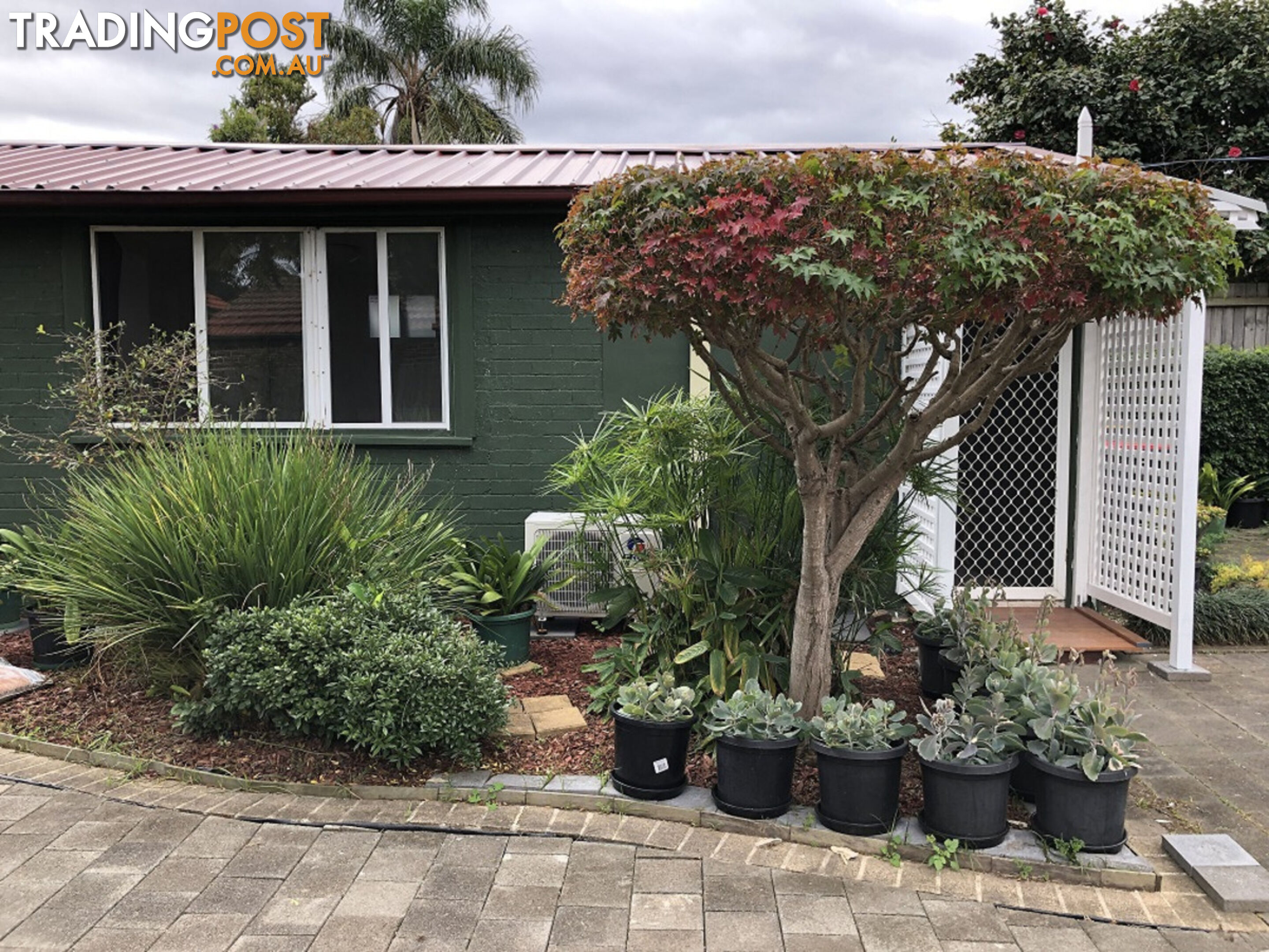 17 Ettrick Street Ashbury NSW 2193