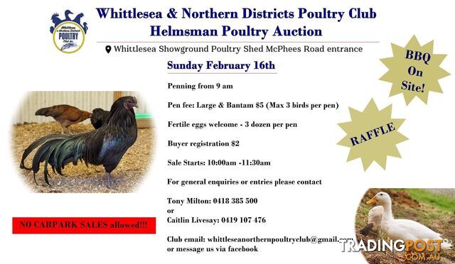 Whittlesea Poultry Club Auction