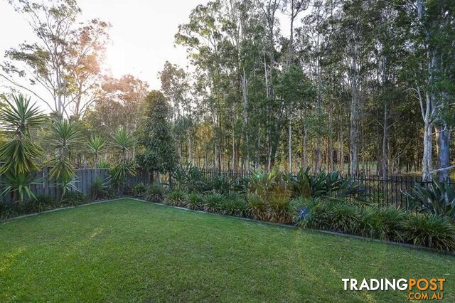 16 Bunderoo Circuit PIMPAMA QLD 4209