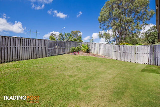 13 Amaray Drive UPPER COOMERA QLD 4209