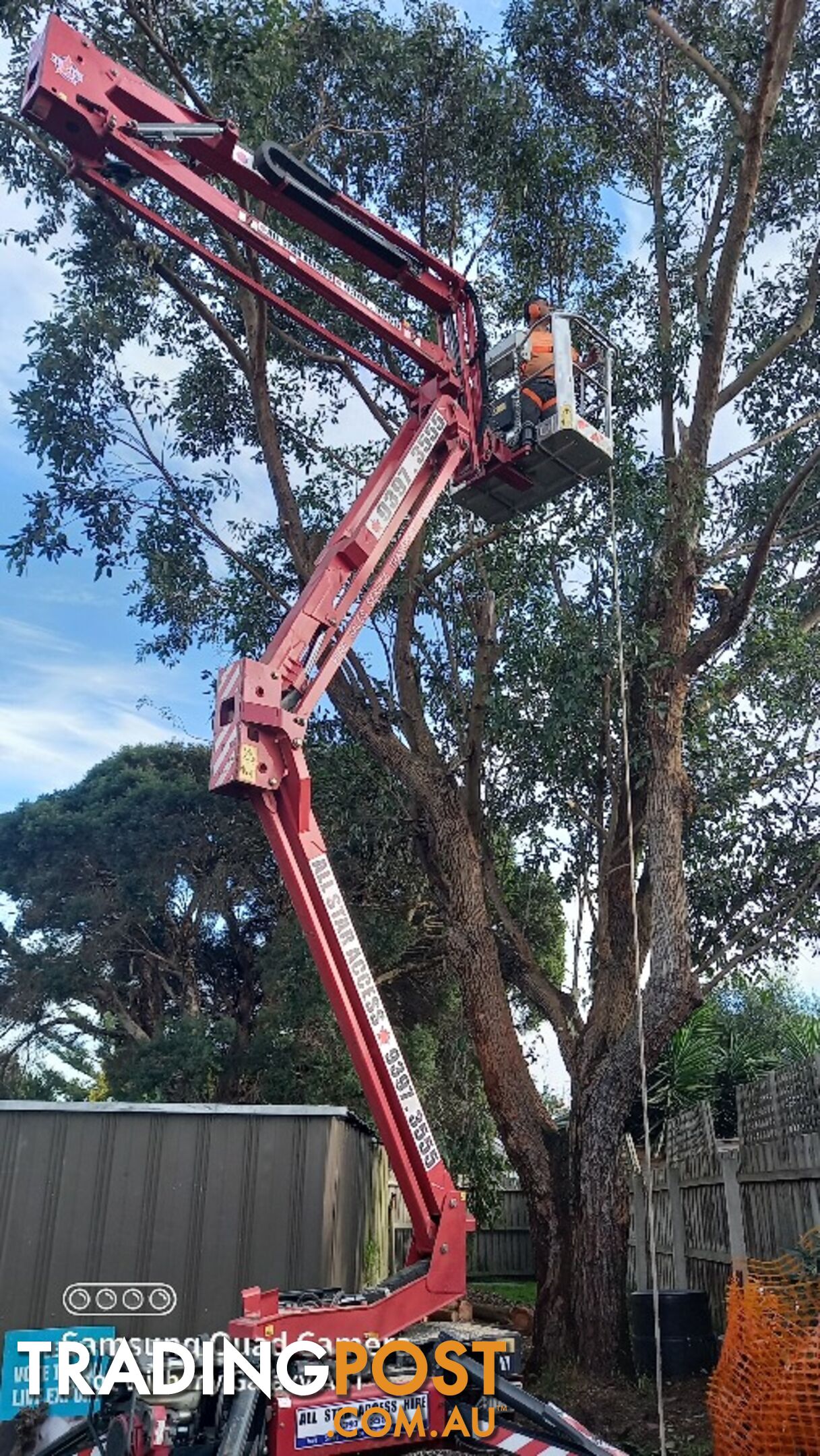 Tree topping 