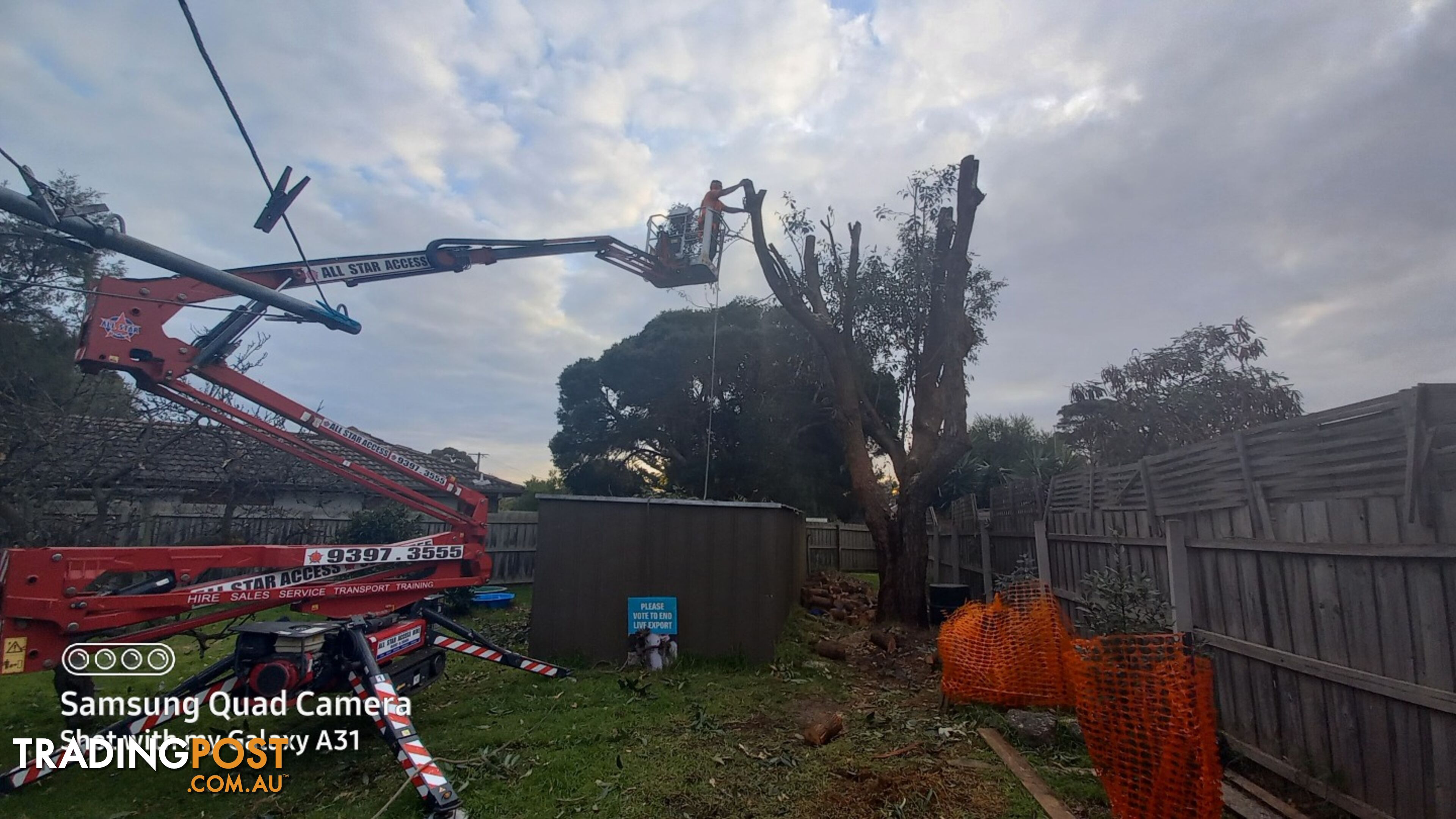 Tree topping 