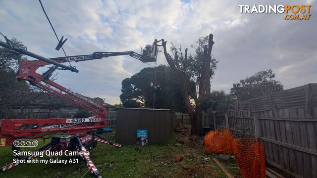 Tree topping 