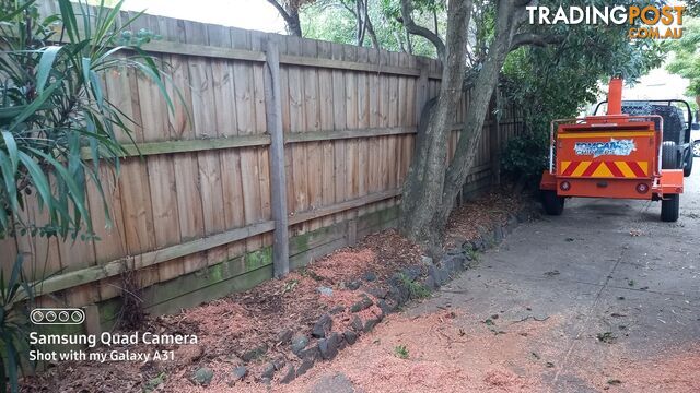 Tree removal balwyn 