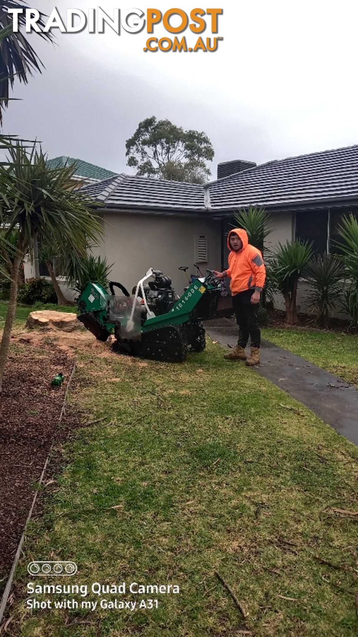 Stump removal 