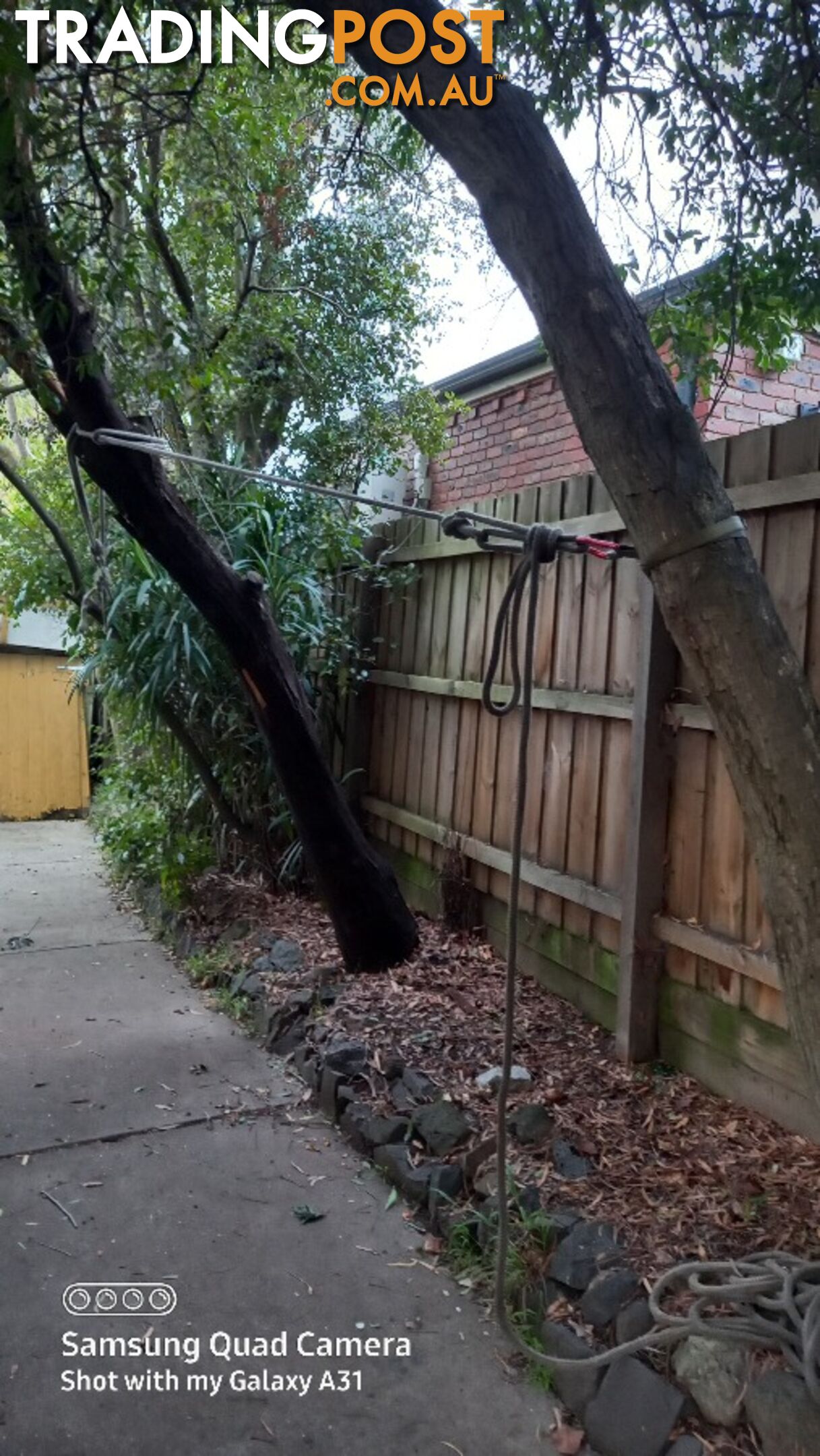 Tree removal balwyn