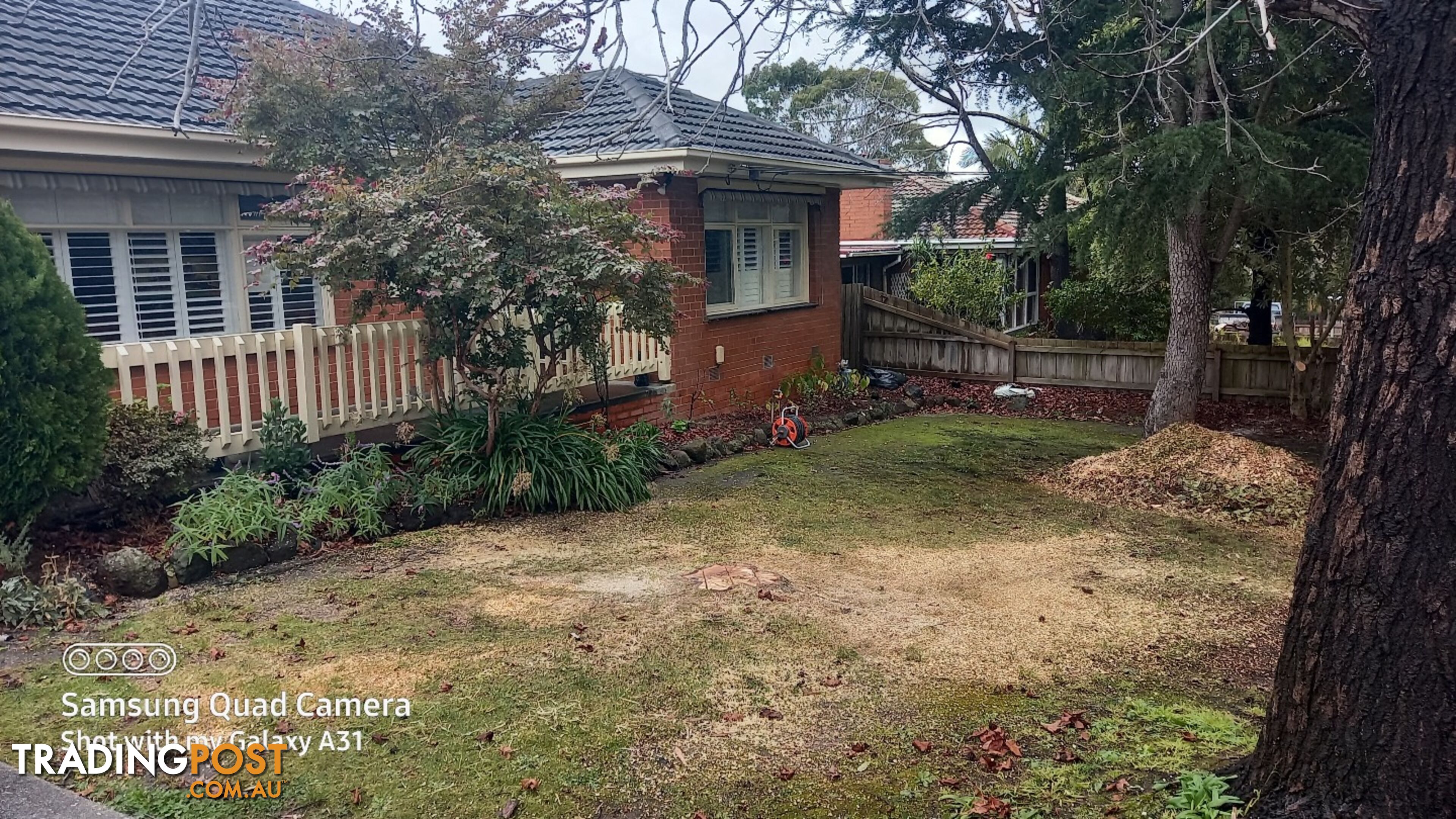 Tree and stump removal 