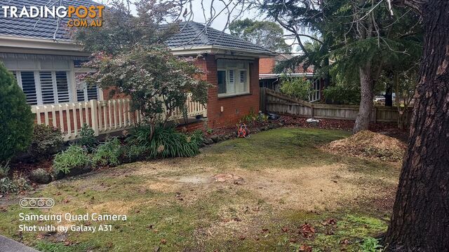 Tree and stump removal 