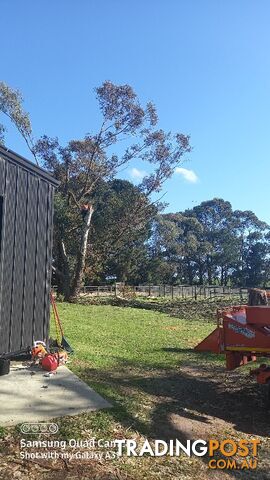 Tree removal nyora 