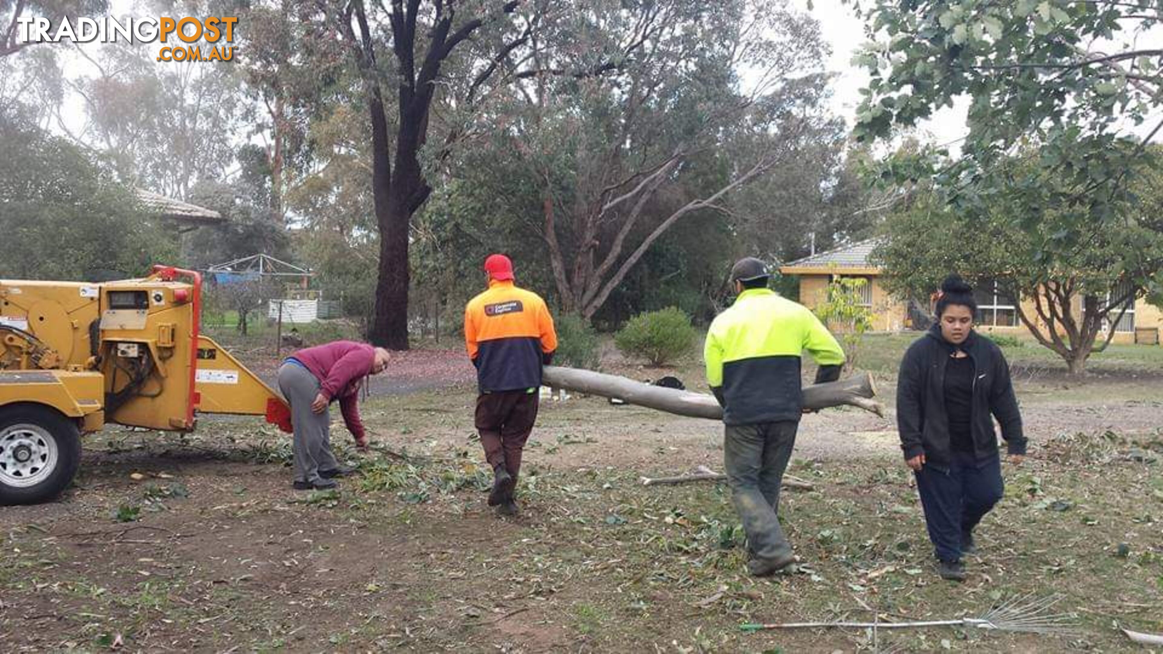 Tree Trimming in Deer Park