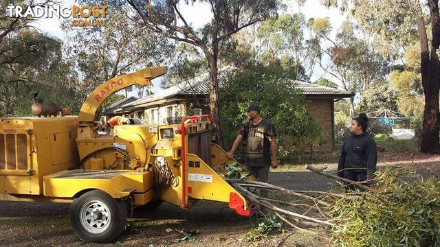 Tree Removal and Stump Grinding in Deer Park