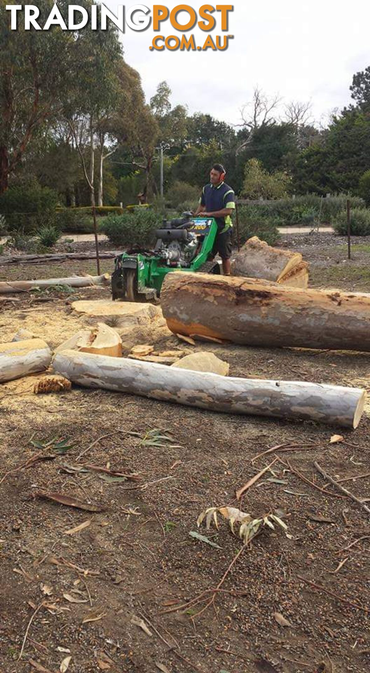 Tree Removal and Stump Grinding in Deer Park