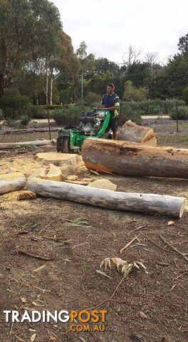 Tree Removal and Stump Grinding in Deer Park