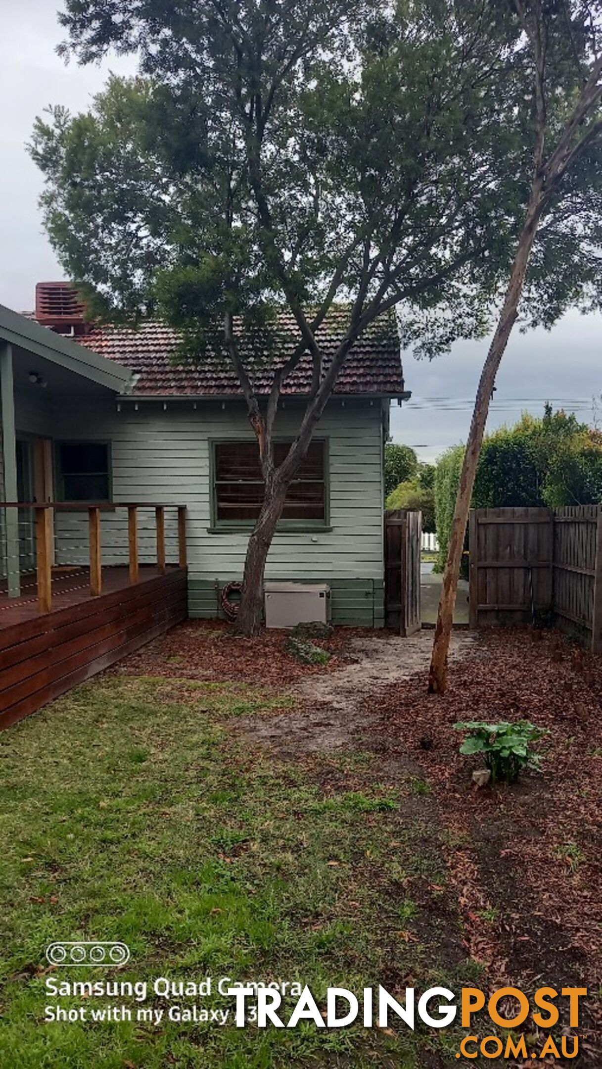 Tree and Stump removal box hill south 