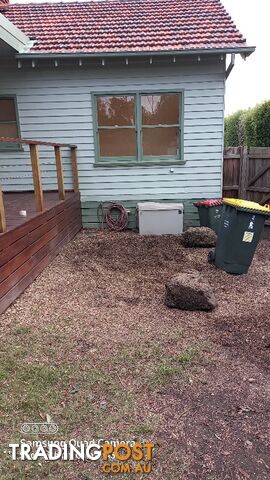 Tree and Stump removal box hill south 