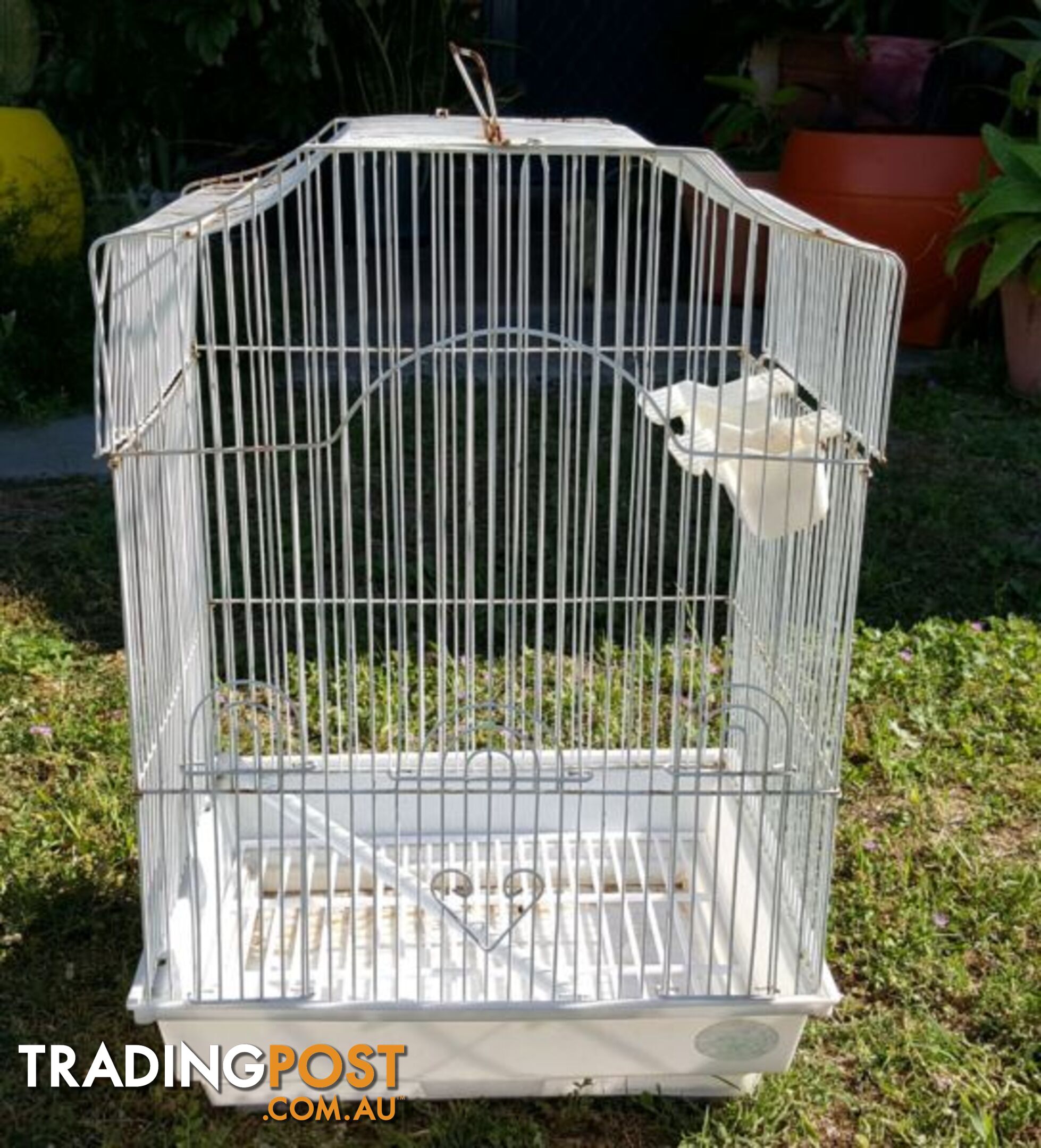 Birdcage White