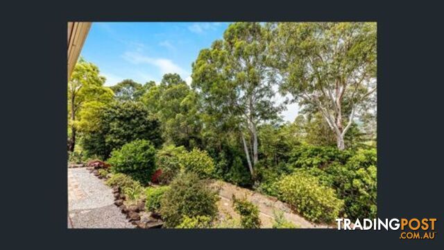 19 Fir BILAMBIL HEIGHTS NSW 2486