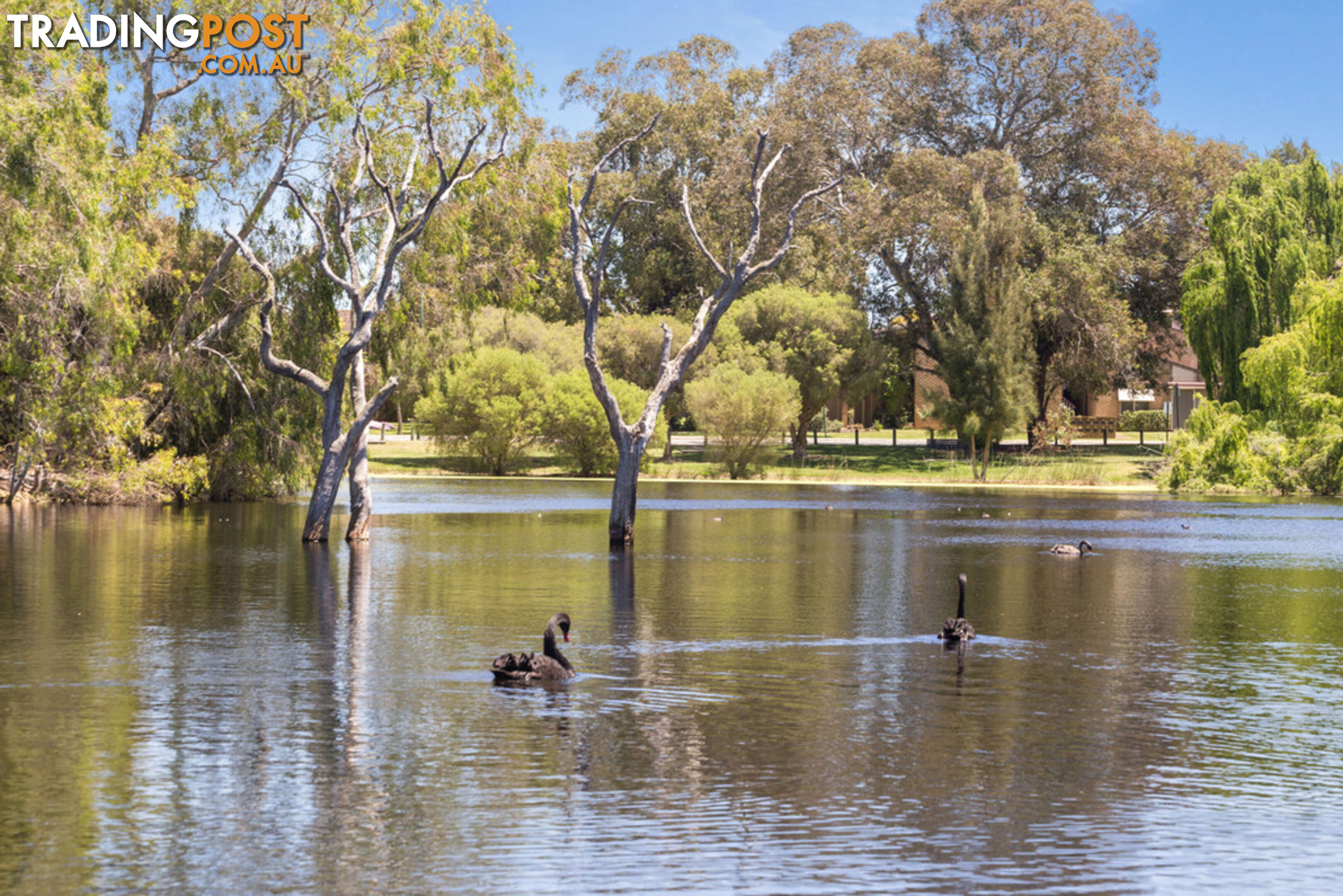 600sqm Vacant Land MANNING WA 6152