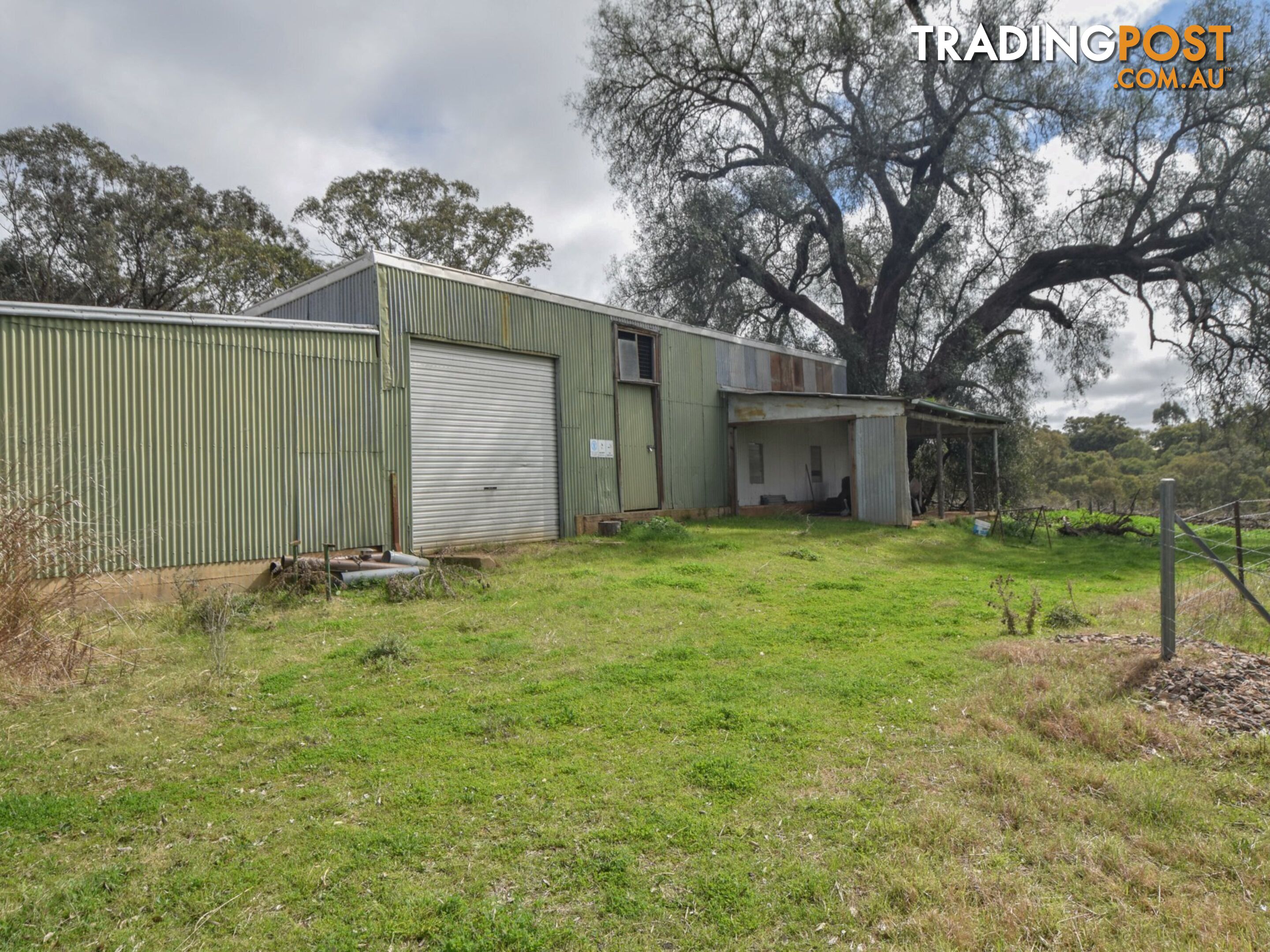 99 Noonans Road YOUNG NSW 2594