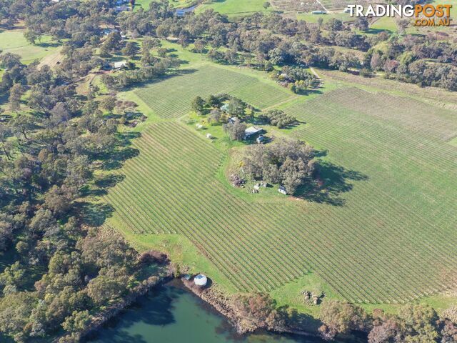 99 Noonans Road YOUNG NSW 2594