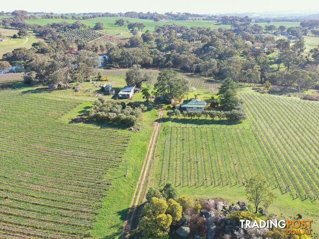 99 Noonans Road YOUNG NSW 2594