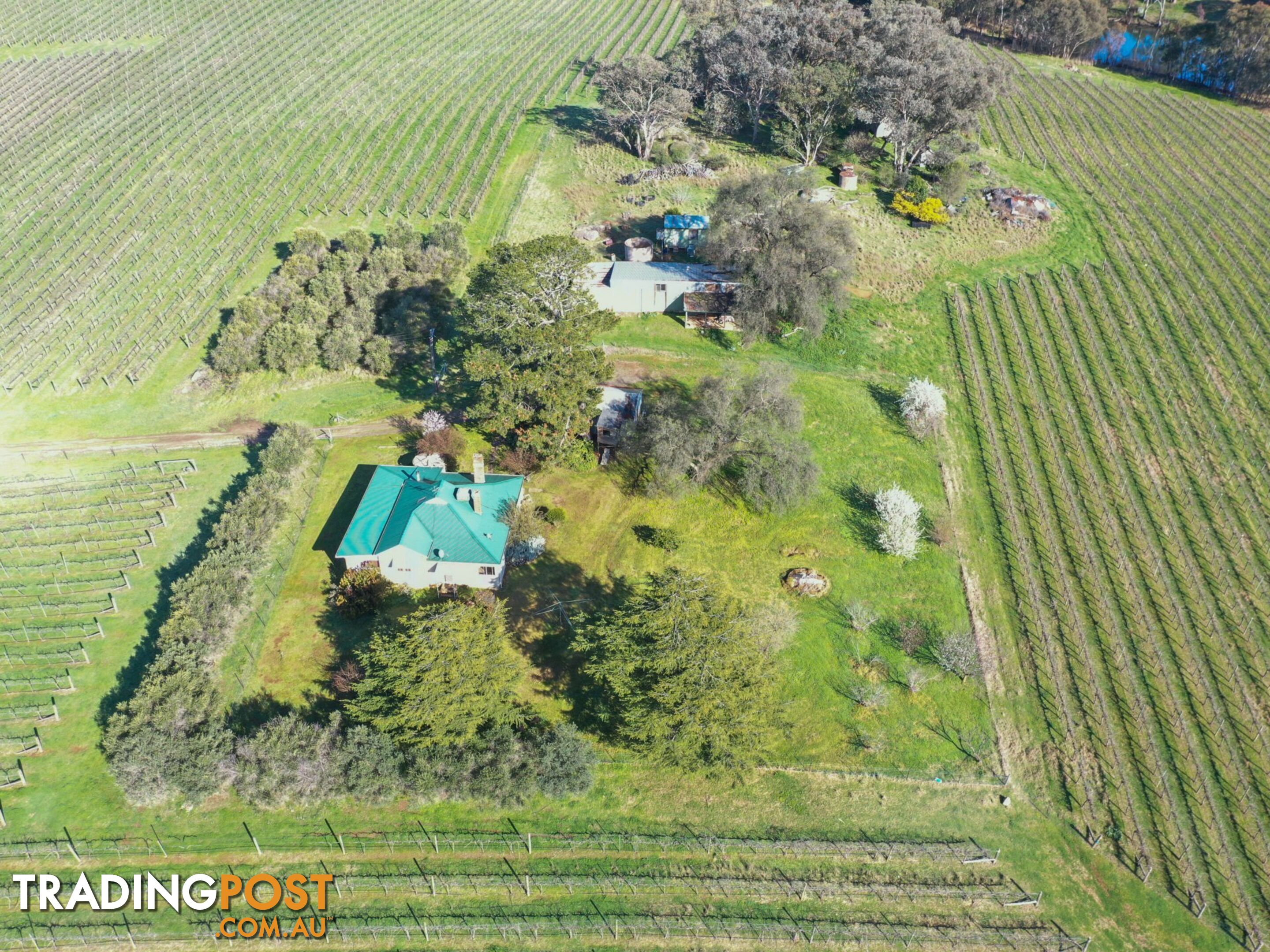 99 Noonans Road YOUNG NSW 2594