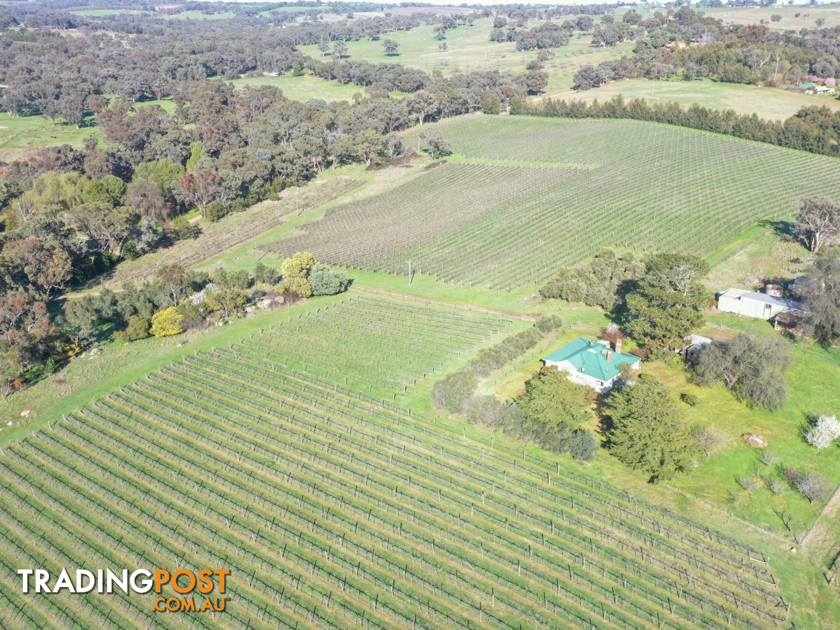 99 Noonans Road YOUNG NSW 2594