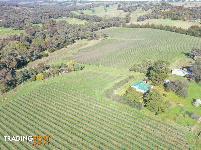 99 Noonans Road YOUNG NSW 2594