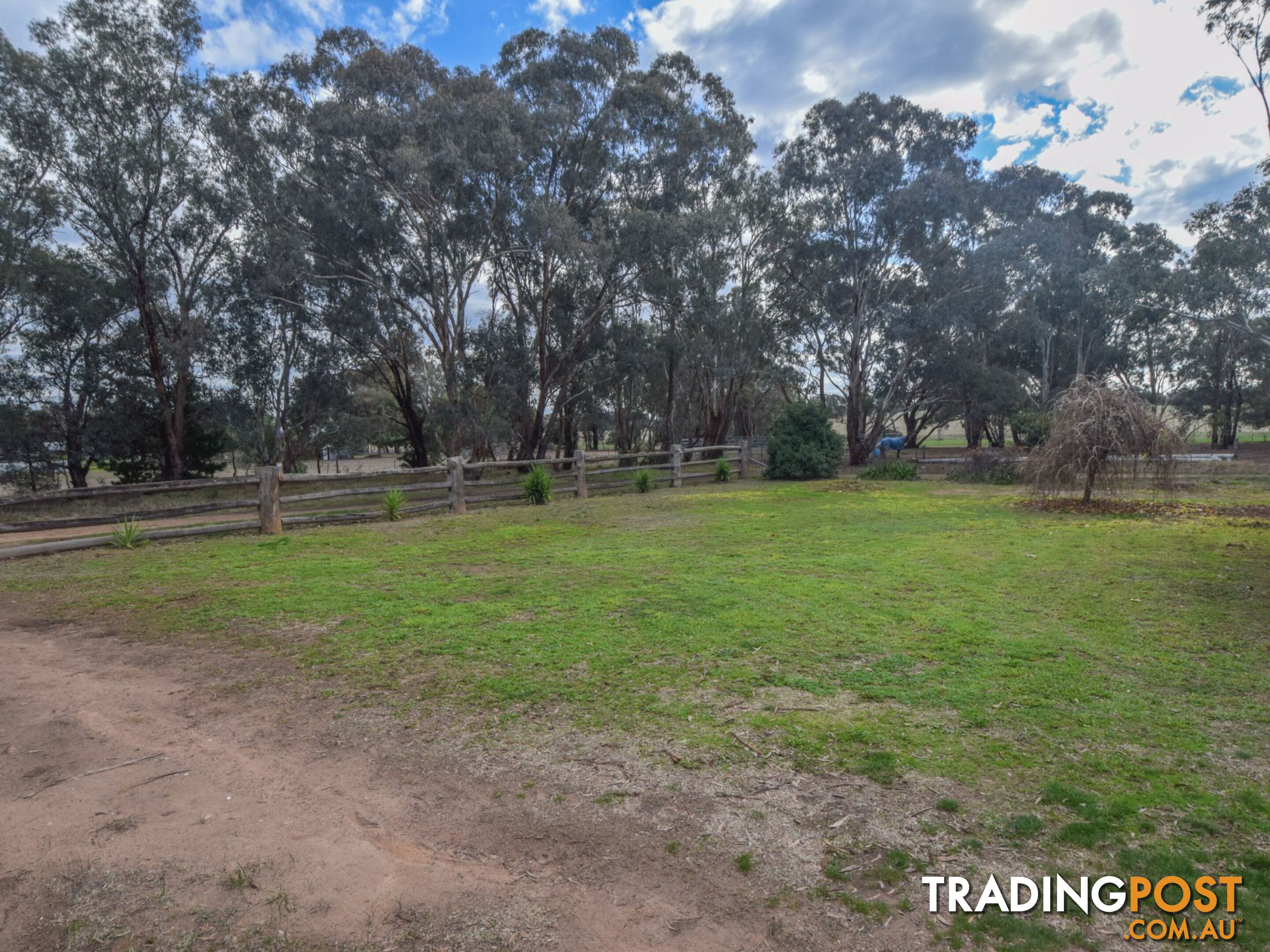 86 Fowler Street (Monteagle) YOUNG NSW 2594