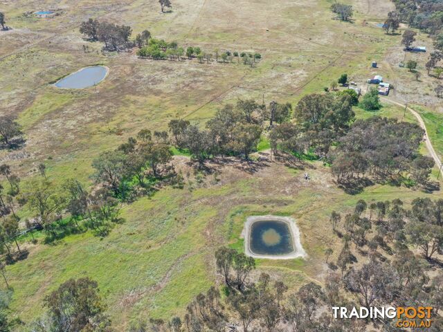 61 Sads Lane YOUNG NSW 2594