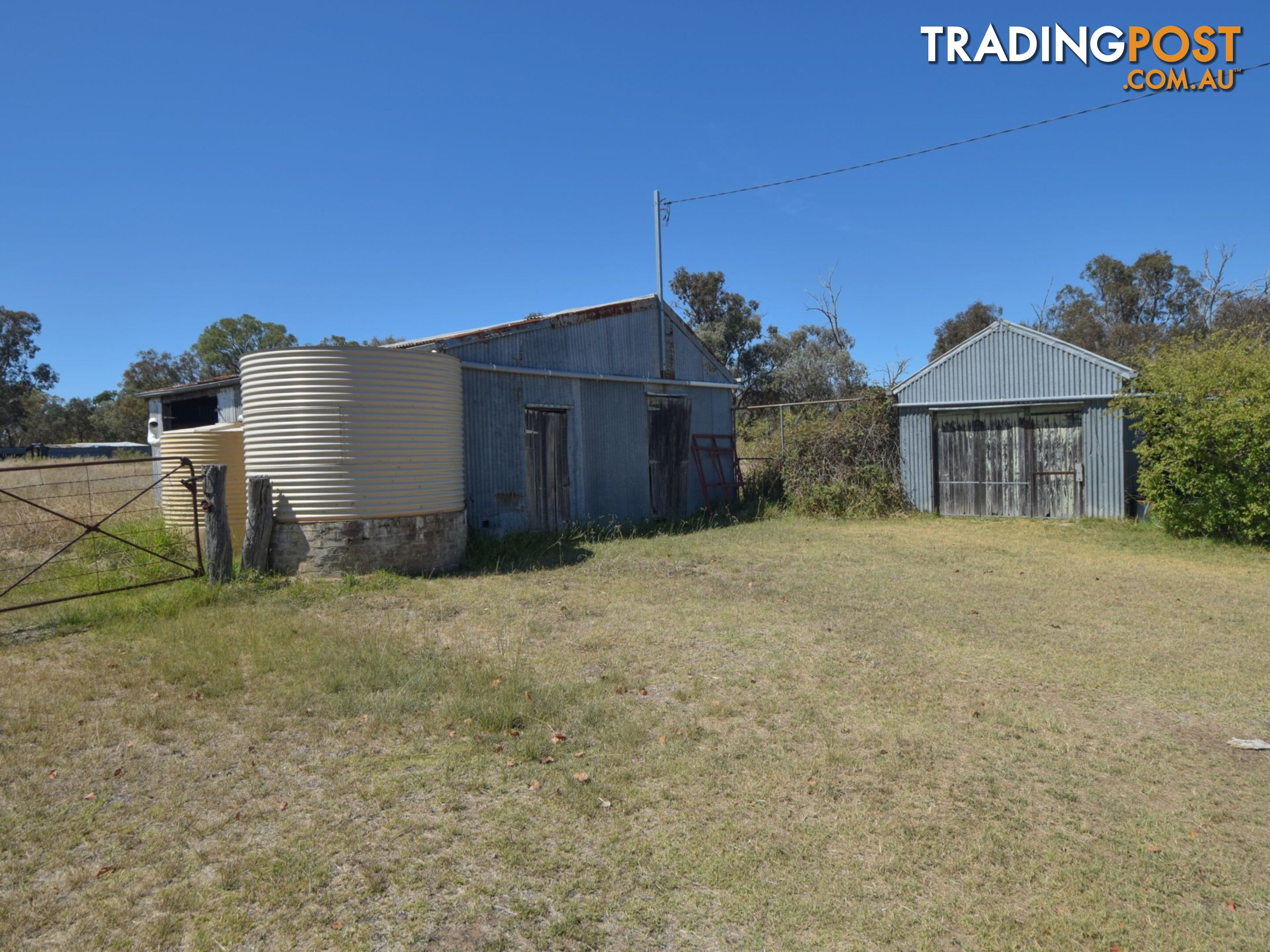 61 Sads Lane YOUNG NSW 2594