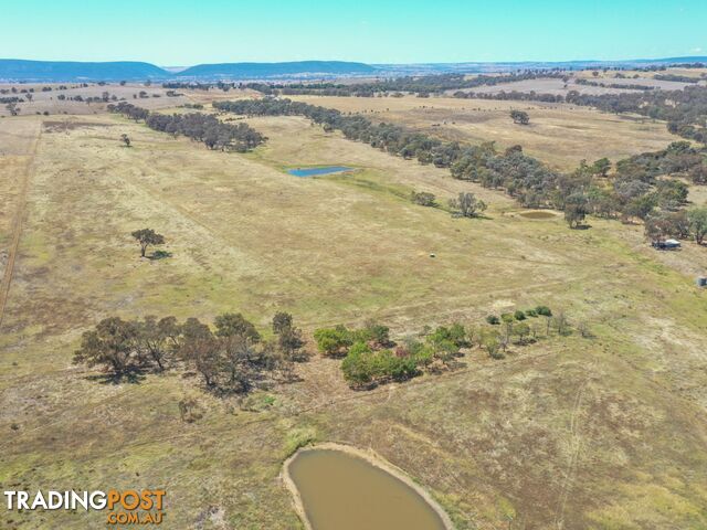 61 Sads Lane YOUNG NSW 2594