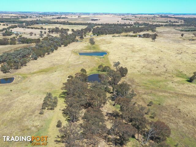 61 Sads Lane YOUNG NSW 2594