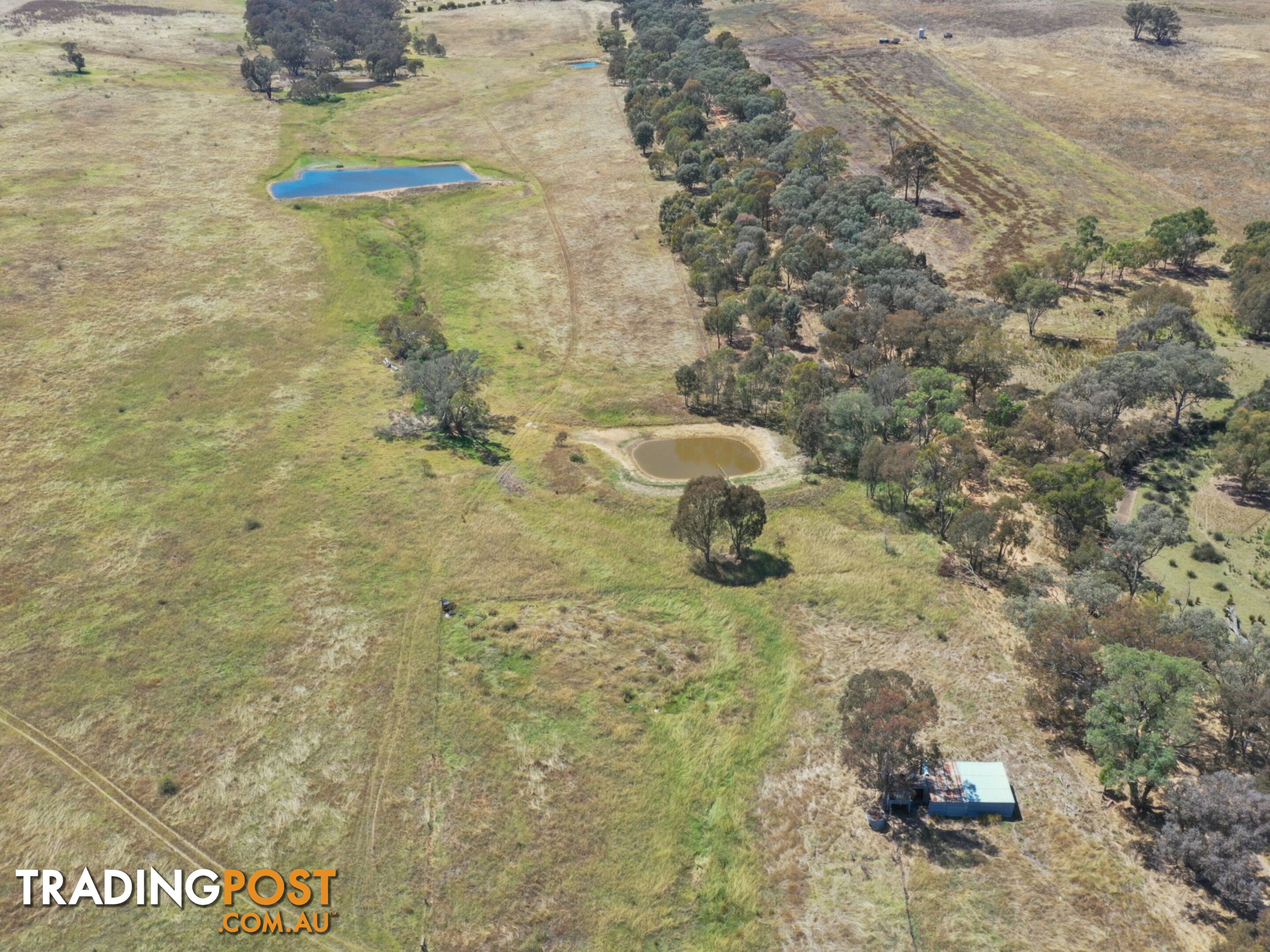 61 Sads Lane YOUNG NSW 2594