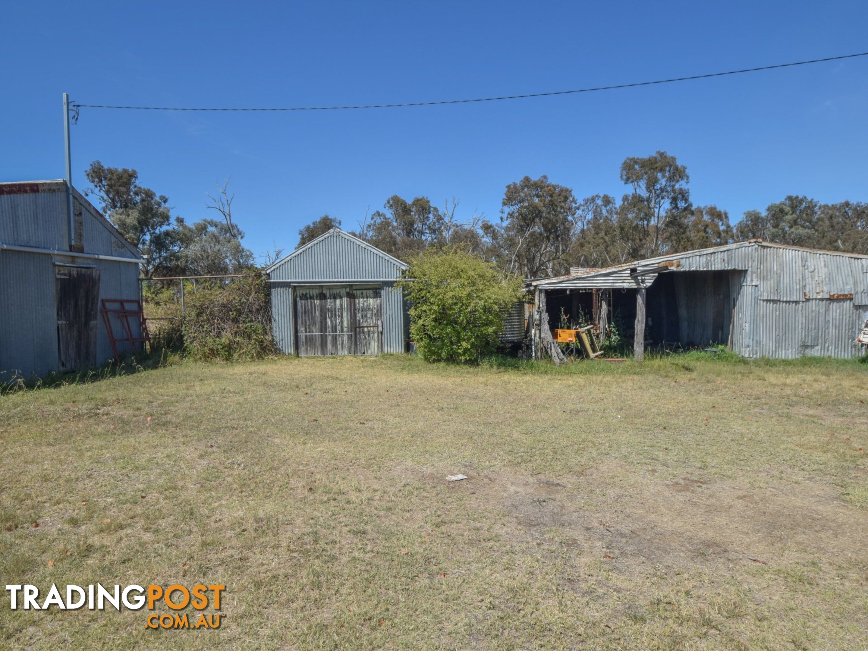 61 Sads Lane YOUNG NSW 2594