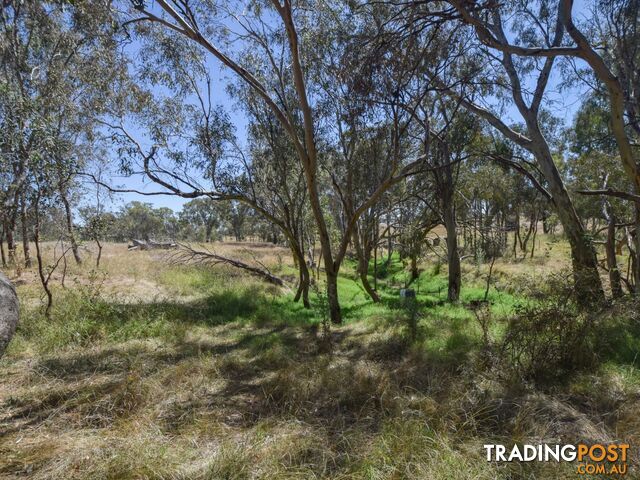 61 Sads Lane YOUNG NSW 2594