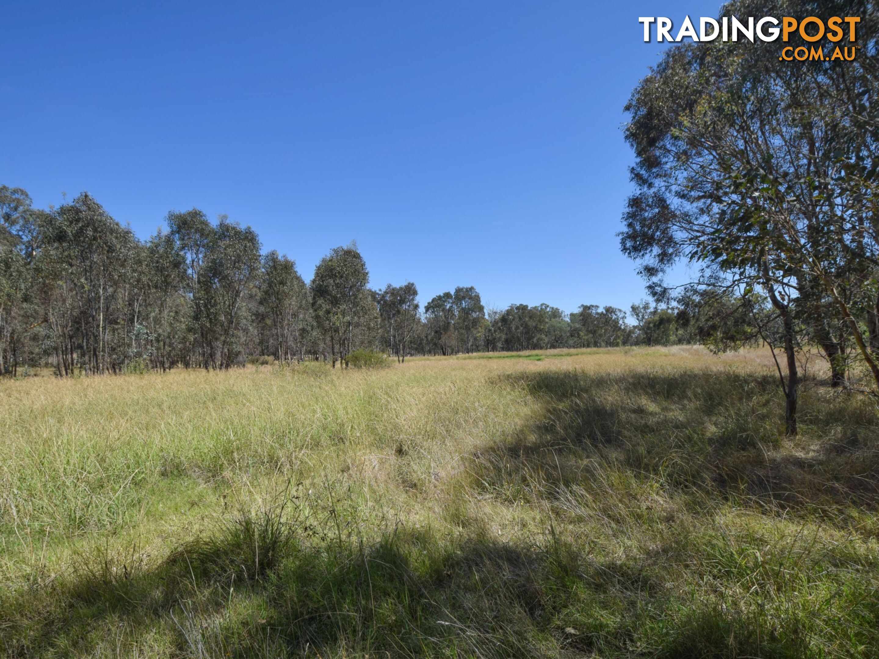 61 Sads Lane YOUNG NSW 2594