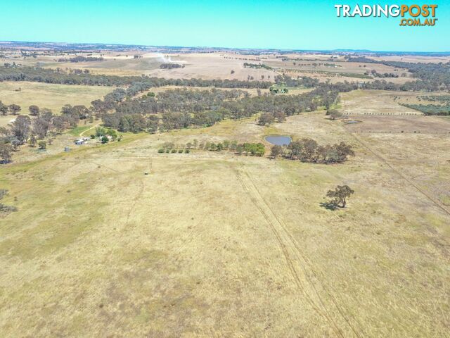 61 Sads Lane YOUNG NSW 2594