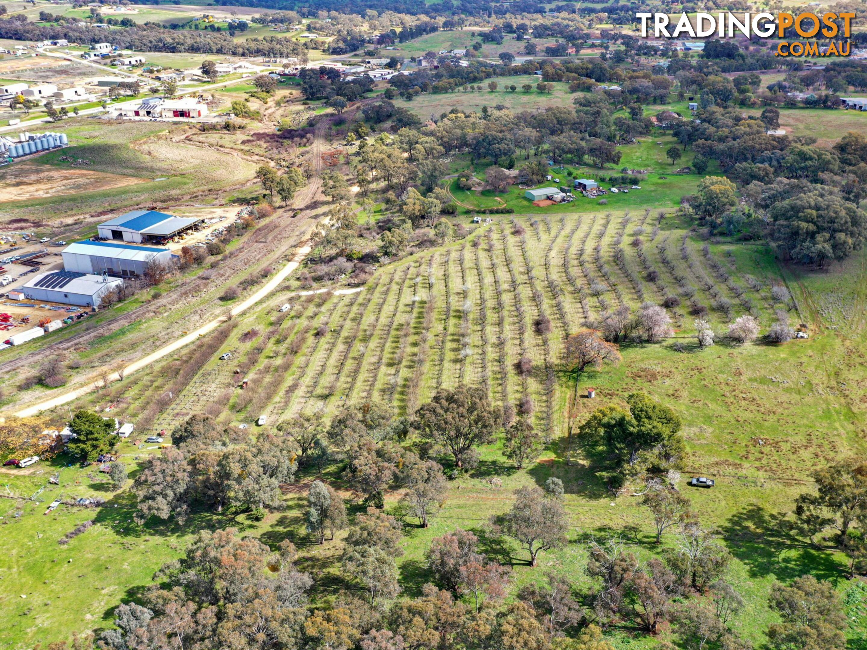 56 Rockdale Road YOUNG NSW 2594