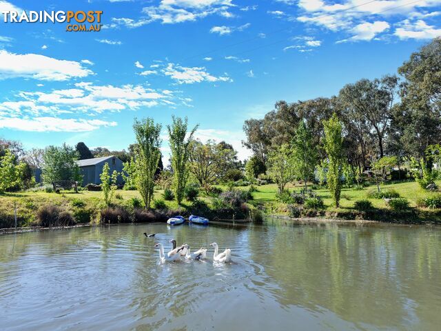 111 Forbes Lane YOUNG NSW 2594