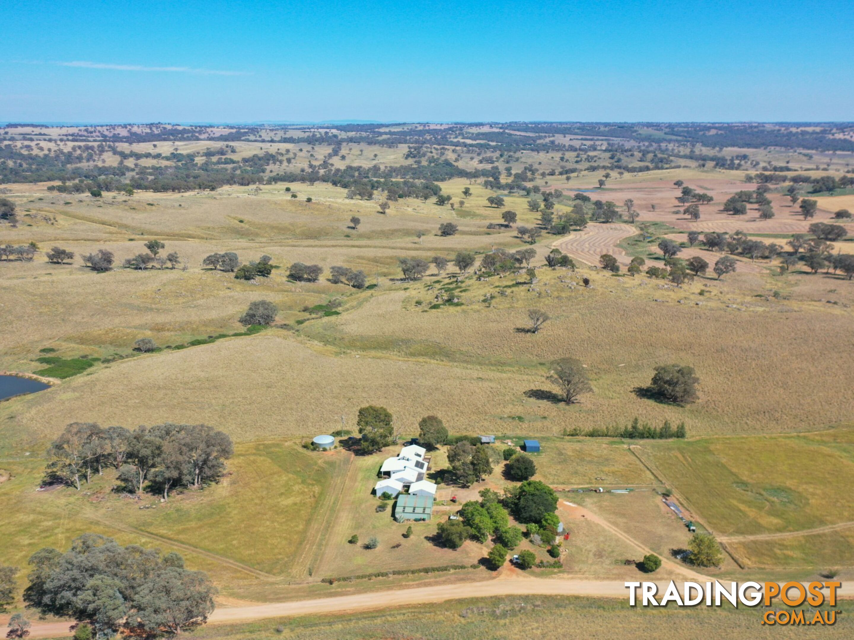 438 Wickham Lane YOUNG NSW 2594