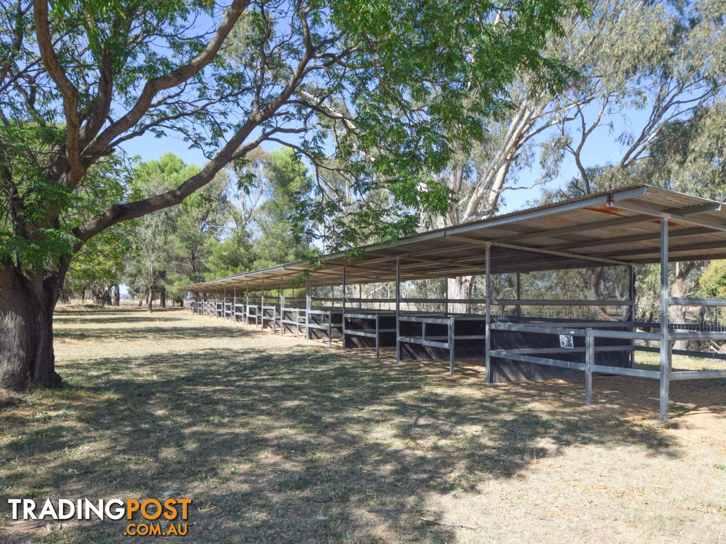 62 Bendick Murrell Road YOUNG NSW 2594