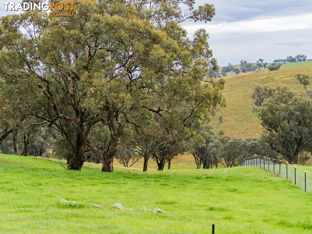 1934 Murringo Road Murringo via YOUNG NSW 2594