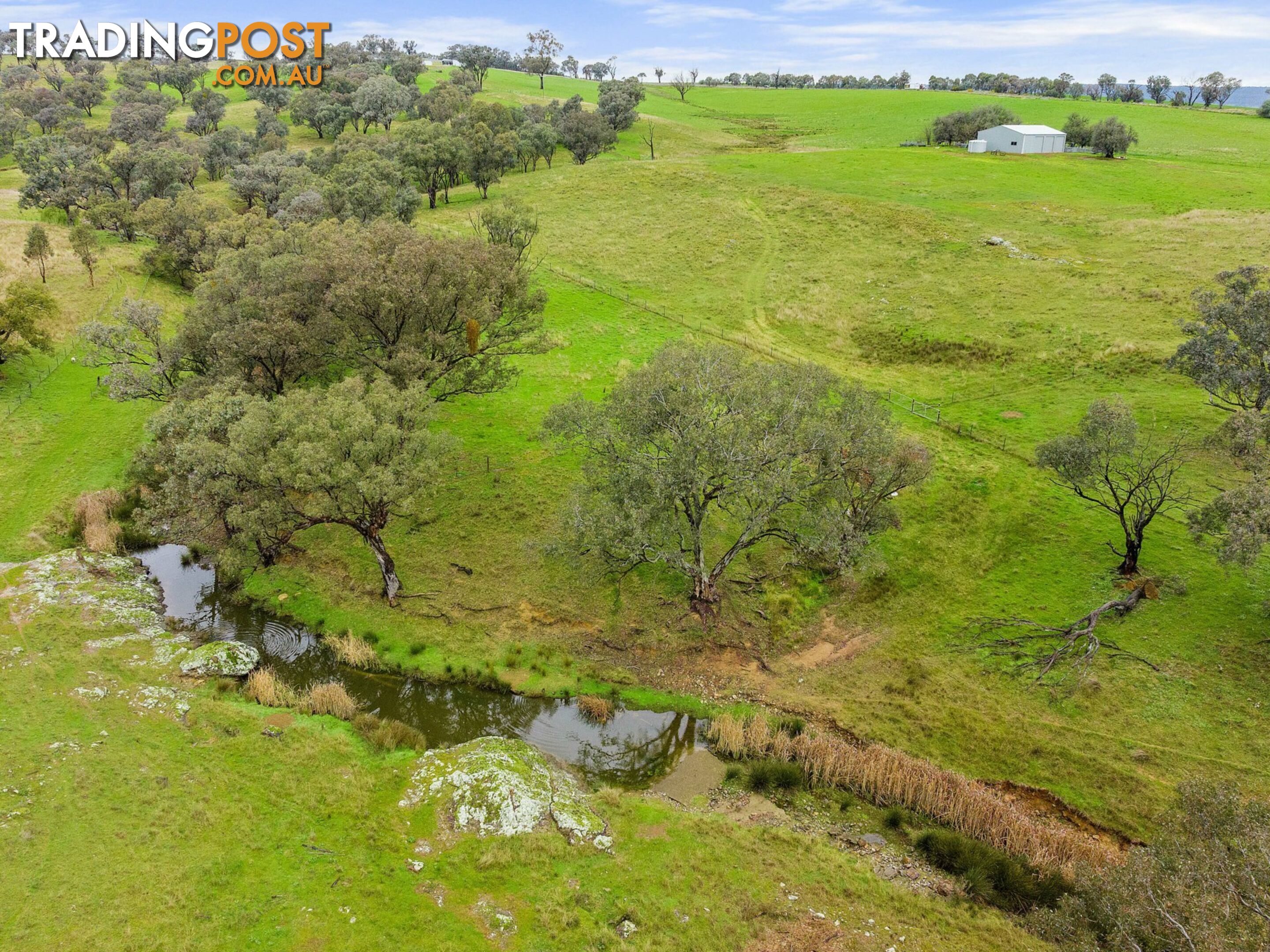 1934 Murringo Road Murringo via YOUNG NSW 2594