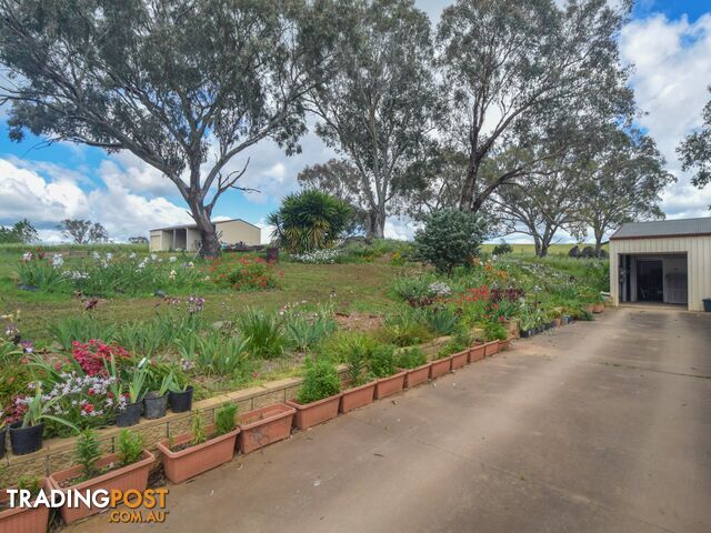 39 Malvicinos Road YOUNG NSW 2594