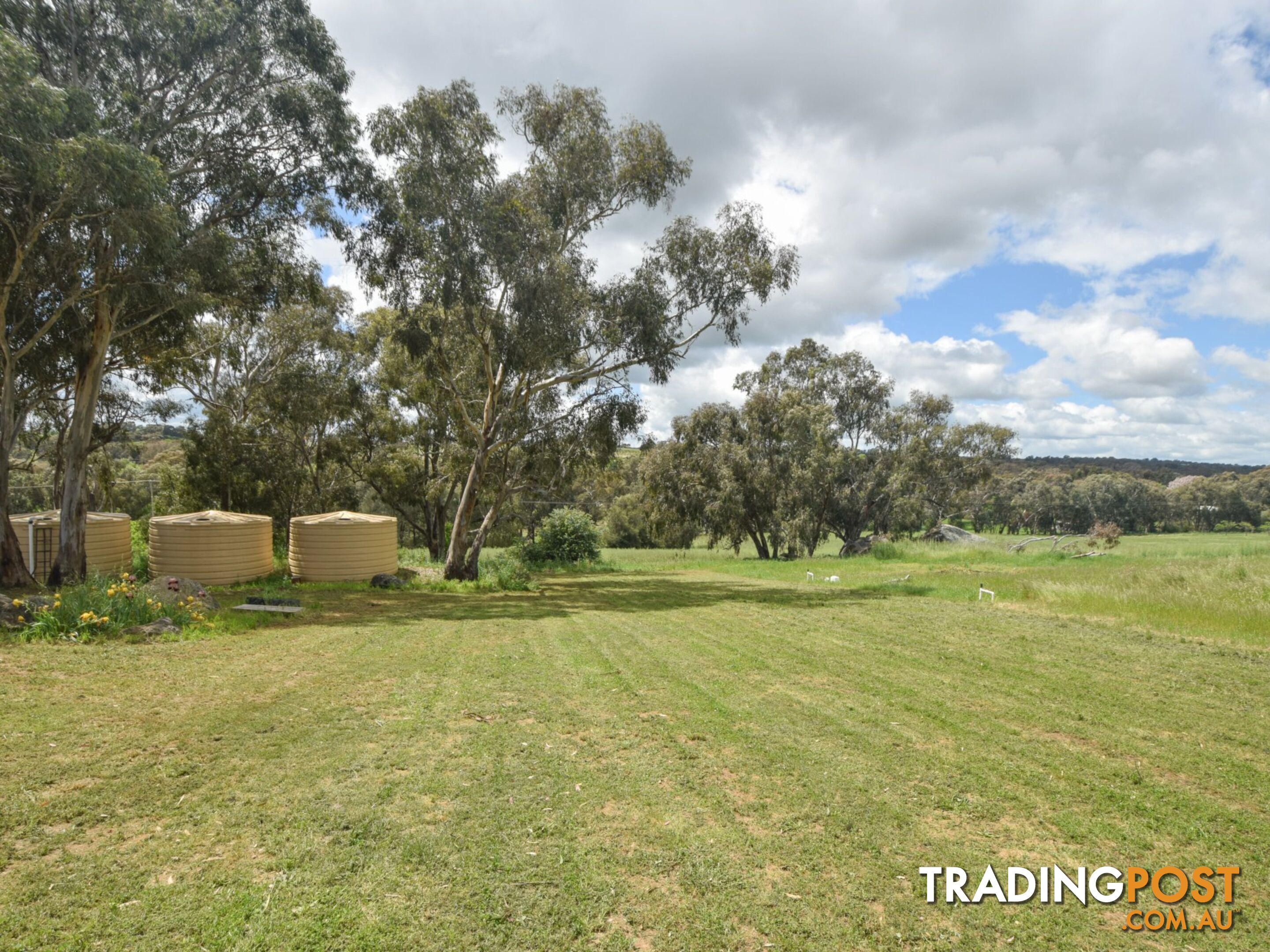 39 Malvicinos Road YOUNG NSW 2594